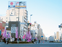 箱根駅伝応援ポイント　新川橋総合病院前